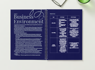 The Business Environment (BENV) Revision Guide - Physical Item